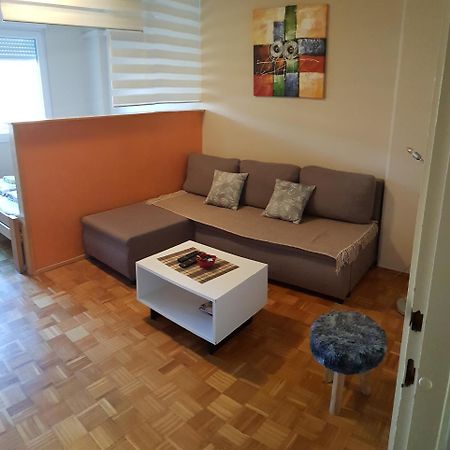 Apartman Vanja ベオグラード エクステリア 写真