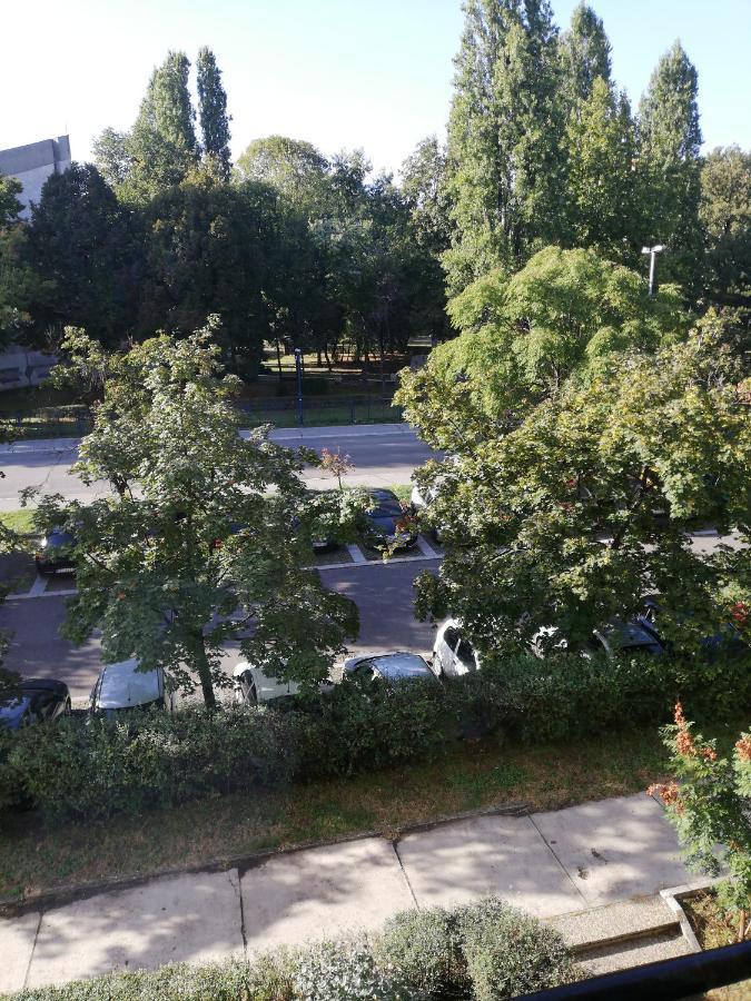 Apartman Vanja ベオグラード エクステリア 写真
